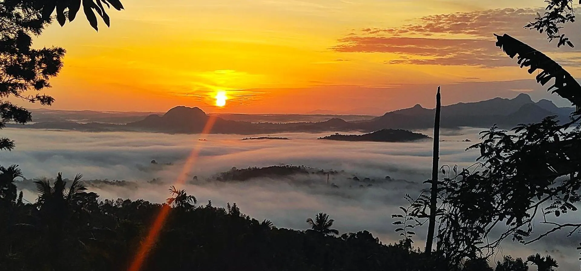 Cicadas Nature Resort - A Frame Cottages Wayanad