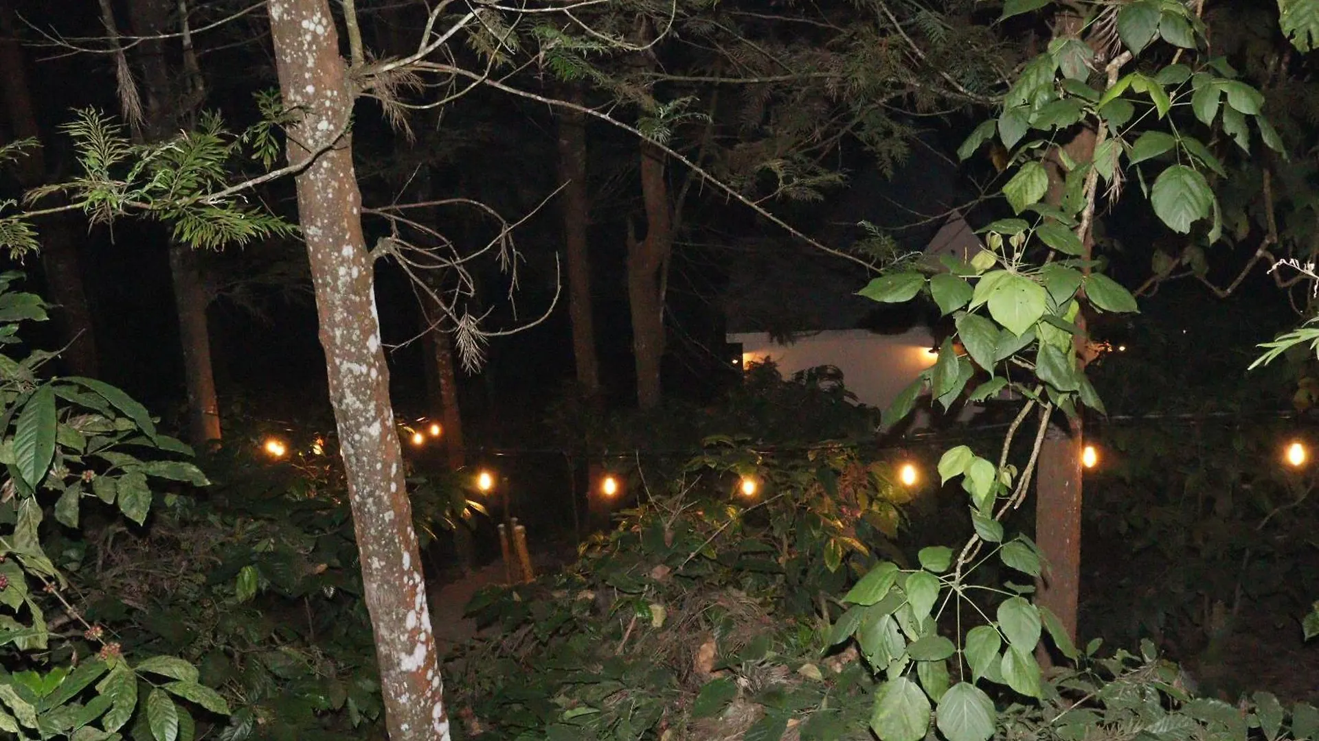 Cicadas Nature Resort - A Frame Cottages Wayanad 0*,
