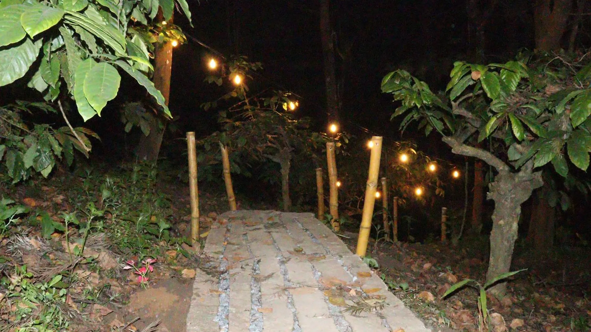 Cicadas Nature Resort - A Frame Cottages Wayanad 0*,  Índia