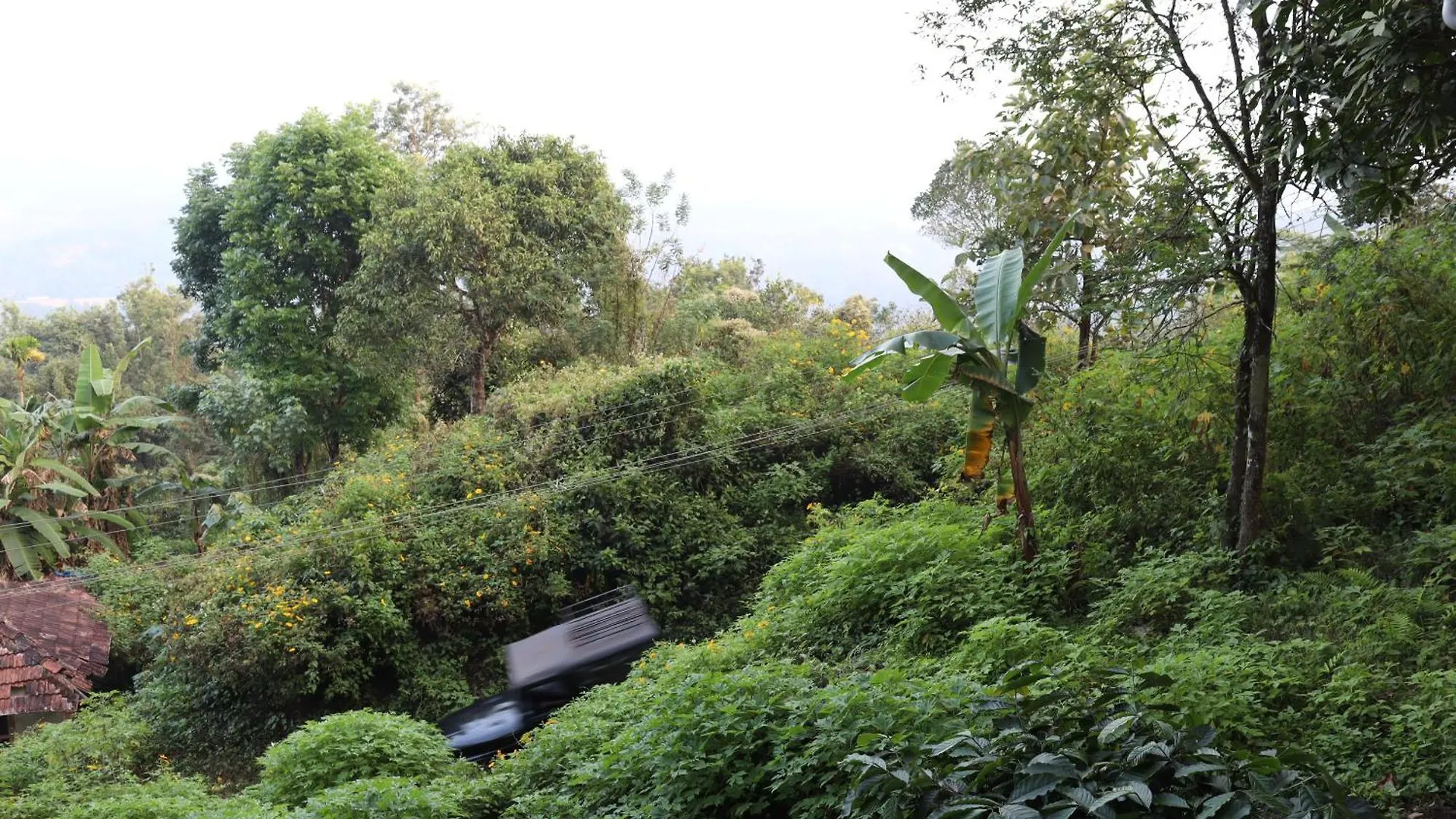 Alojamento de Turismo Rural Cicadas Nature Resort - A Frame Cottages Wayanad Índia