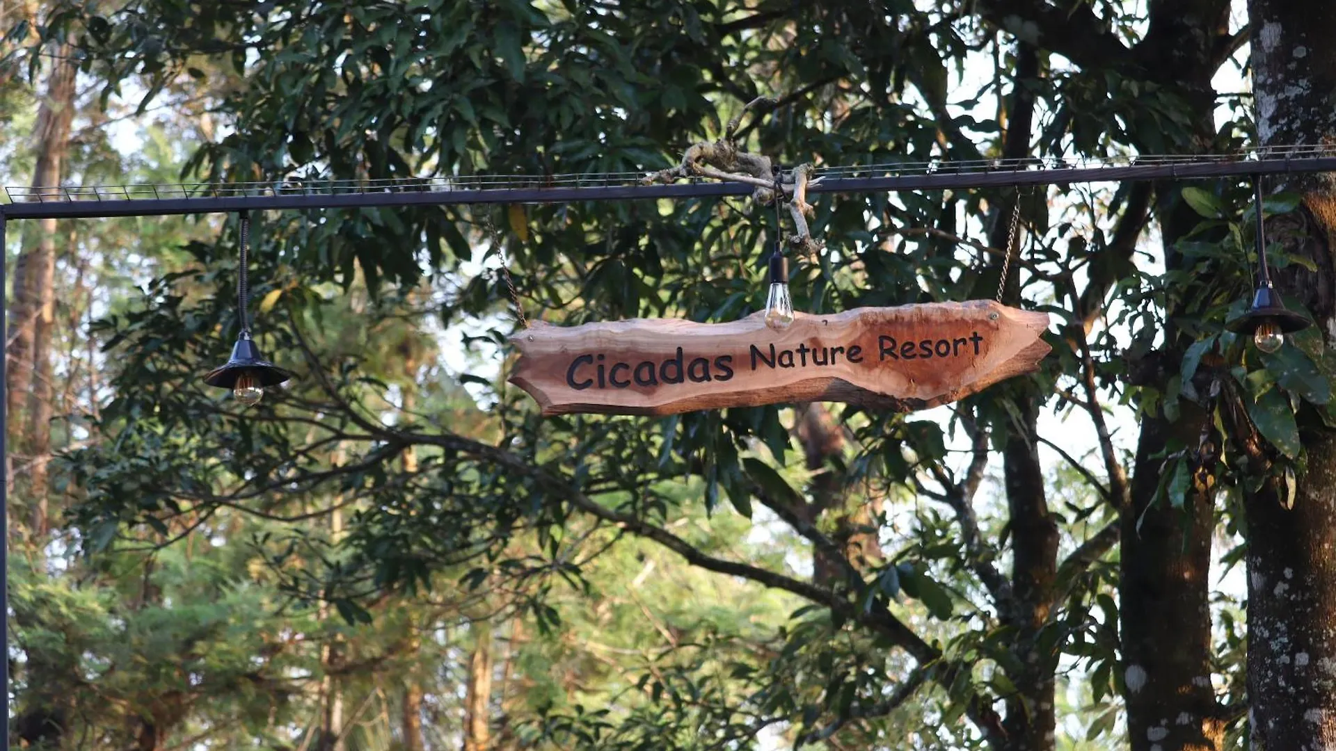 Cicadas Nature Resort - A Frame Cottages Wayanad Alojamento de Turismo Rural