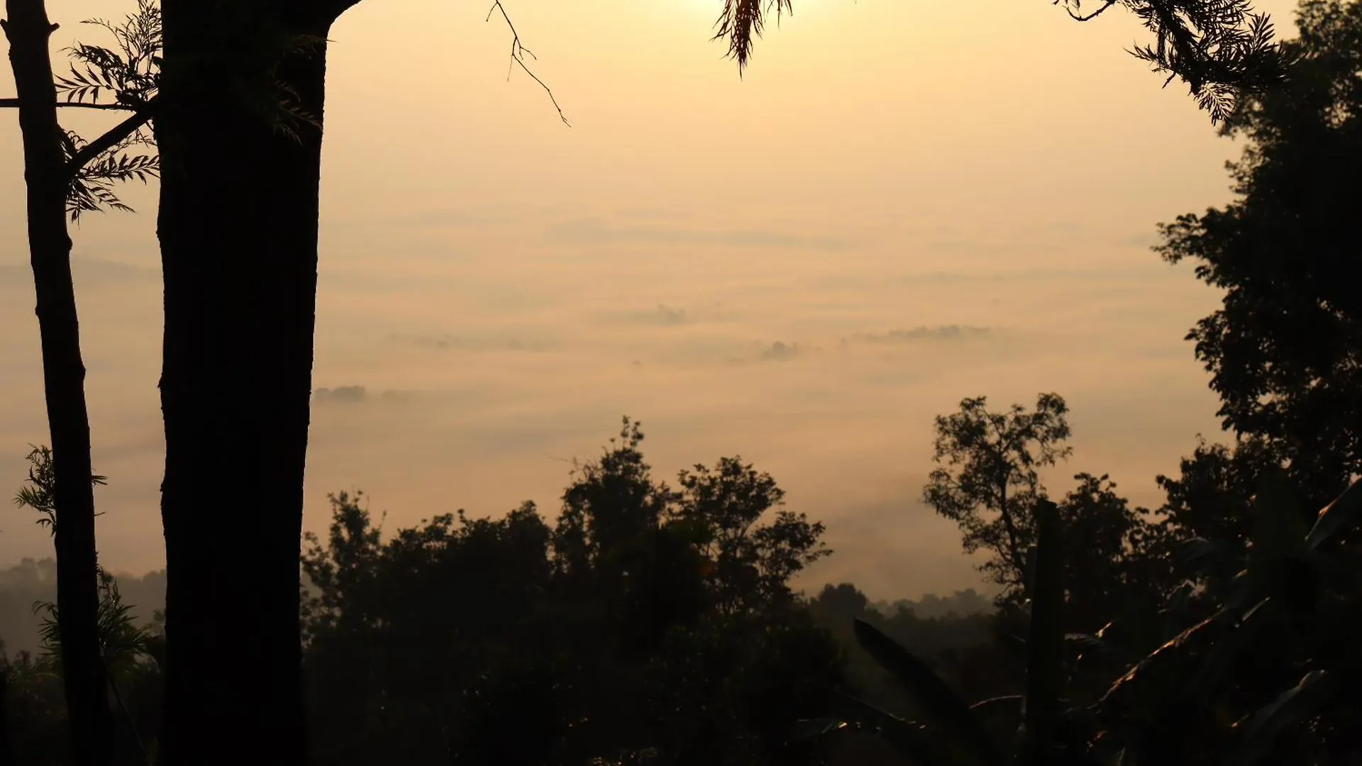 Cicadas Nature Resort - A Frame Cottages Wayanad Alojamento de Turismo Rural