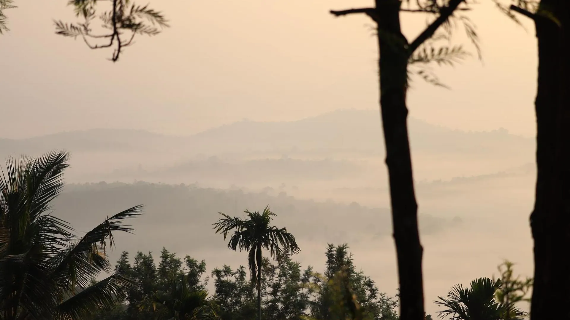 Cicadas Nature Resort - A Frame Cottages Wayanad