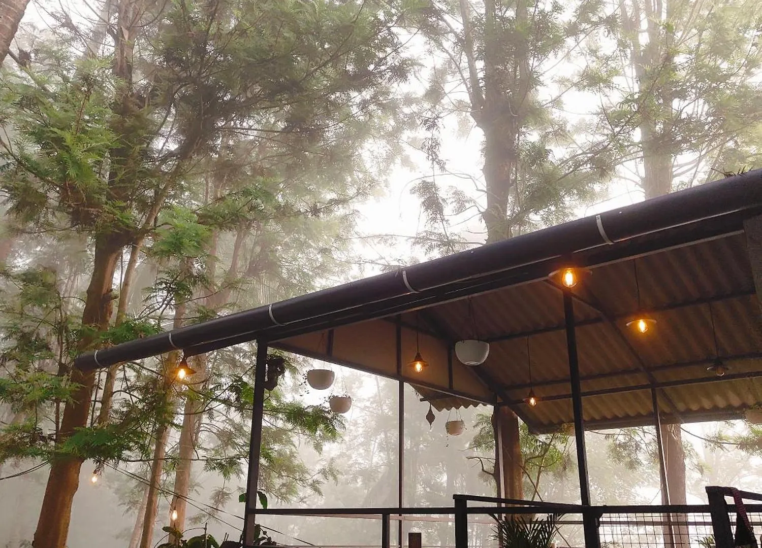 Cicadas Nature Resort - A Frame Cottages Wayanad Índia