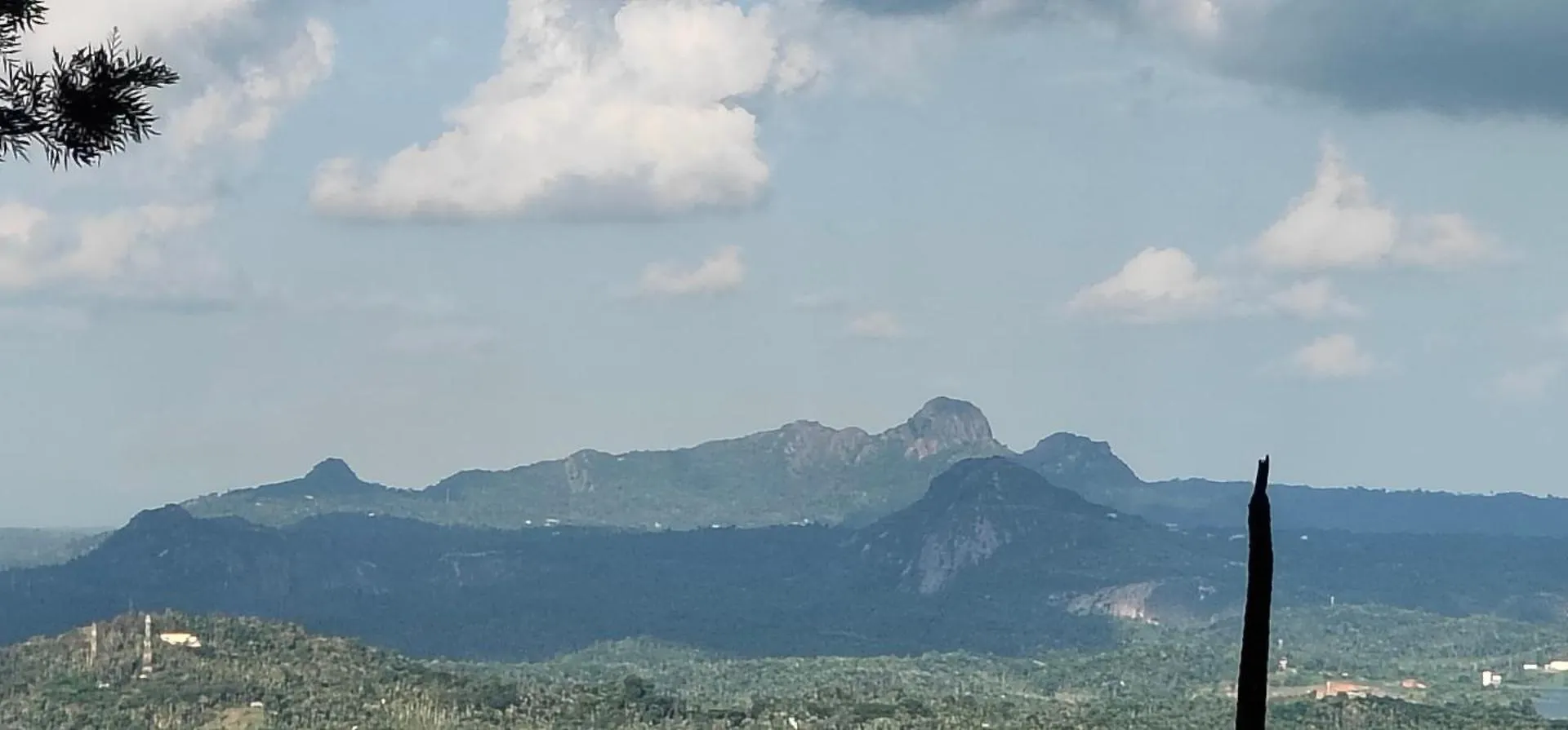 Cicadas Nature Resort - A Frame Cottages Wayanad